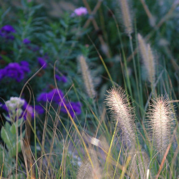 Our Gardens Are Museums Of Light