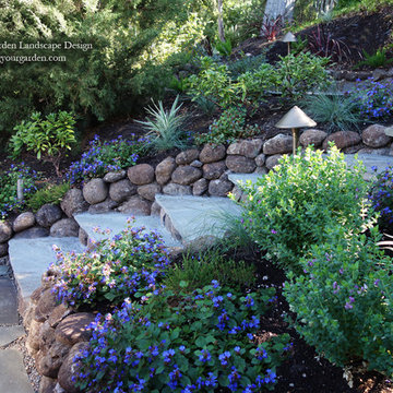 A Traditional Landscape Loses the Lawn & Overgrown Shrubs To Low-Water Plants