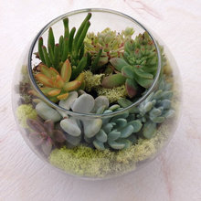 Indoor garden