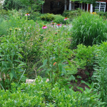 Side Yard Garden Design & Build