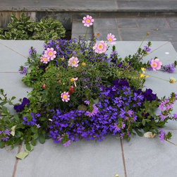 Annual Custom Containers - Outdoor Pots And Planters