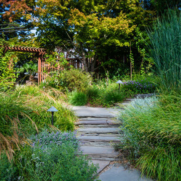 Grassy Meadow Oasis - Reduces Waste While Increasing Habitat