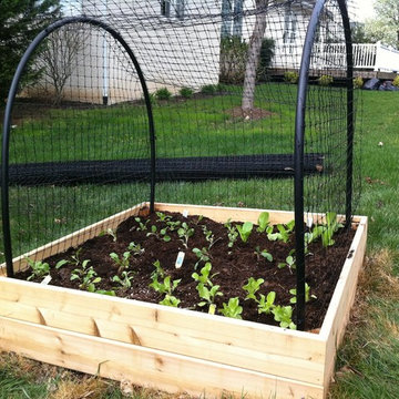Vegetable Gardens