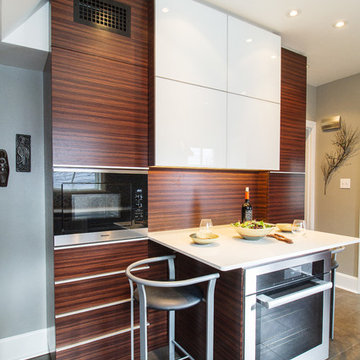 Contemporary Kitchen Renovation