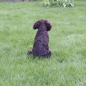 Jennifer Oldenburg's photo