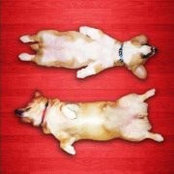 Danielle Maveal's photo