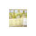 Art of Shadia - fine art/murals/faux