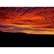 Don Bridges's photo