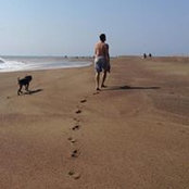 Craig Carlton's photo