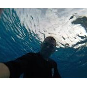 David Reynolds's photo