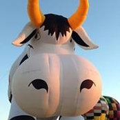 Chris Baglio's photo
