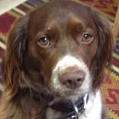 Clarke Howatt's photo
