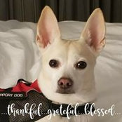 Nancy OD's photo