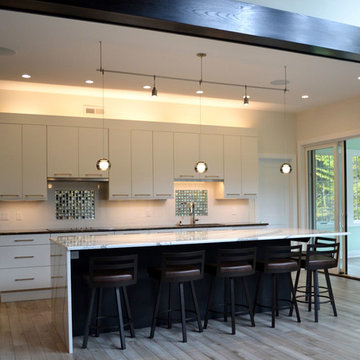 Modern Kitchen Delmar NY