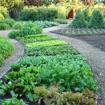 Vegetable gardens