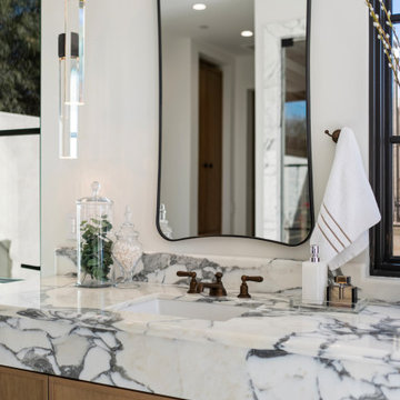 Cactus Wren | Luxury Staging
