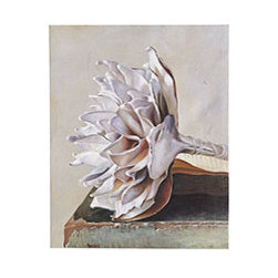 STILL LIFE ART &ndash; FLOWER - Artwork