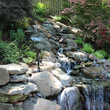 Sleeping With the Fishes in Bethesda MD