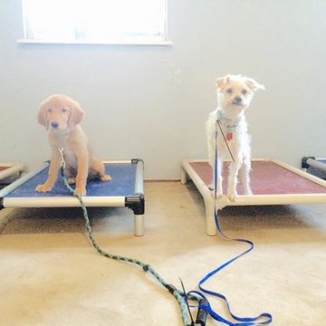 Dog Training Specialist Cypress - Puptown Houston (832) 930-0073