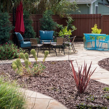 Backyard Circulation and Color