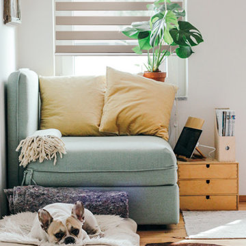 FREE STOP® Zebra Roller Shade