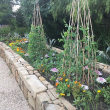 Vegetable Garden