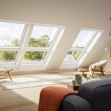 2024 VELUX IE