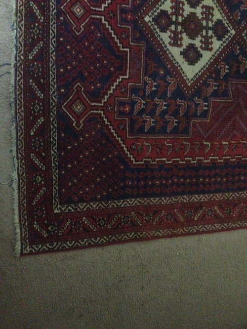 What curtains match my rug?!