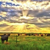 Jim Baker's photo