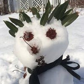 Misty Weisbrod's photo