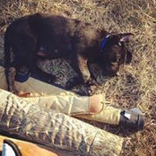 Luke Bones's photo