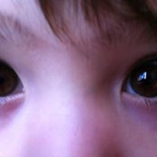 Steven Schmoldt's photo