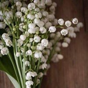 Яна Екабсон's photo