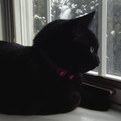 Kathleen Birl's photo