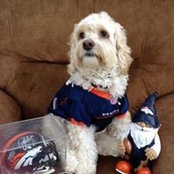 Debbie Odachowski's photo
