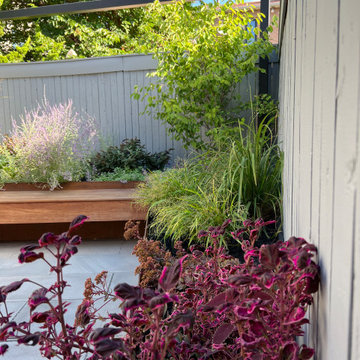Sunset Park Family Garden