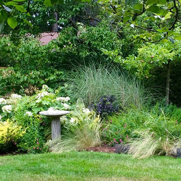 garden design