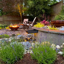 Son’s Backyard