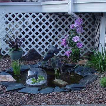 Water Features & Ponds