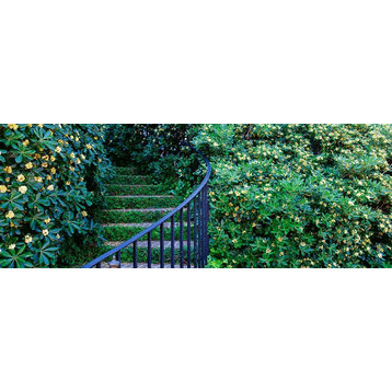 Historic District Charleston Curved Staircase Panoramic Fabric Wall Mural
