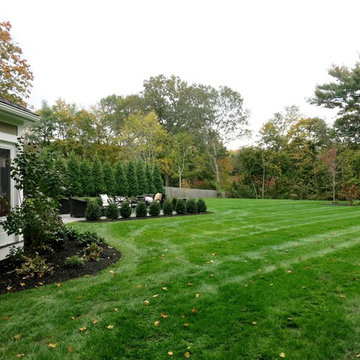 Backyard Revisited