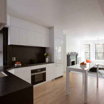 Park Slope Condominium