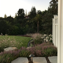 Landscaping, Hardscaping