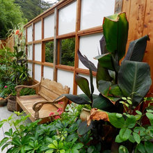Landscaping - Back yard