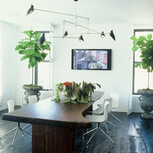 Indoor Plants