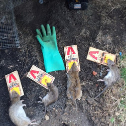 Complete Pest Control Services - Products