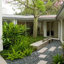 Landscape Ideas