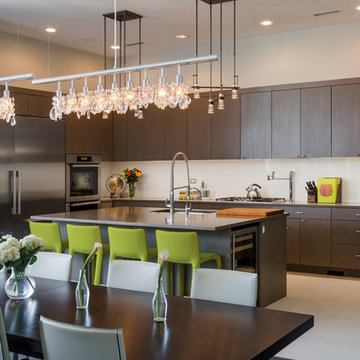 Chicago Lincoln Park Condo
