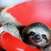 Sommer Thorgusen's photo