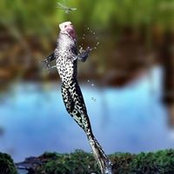 Dan Wilson's photo